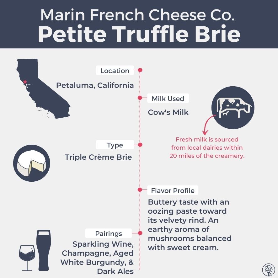 Petite Truffle Brie Cheese Infographic
